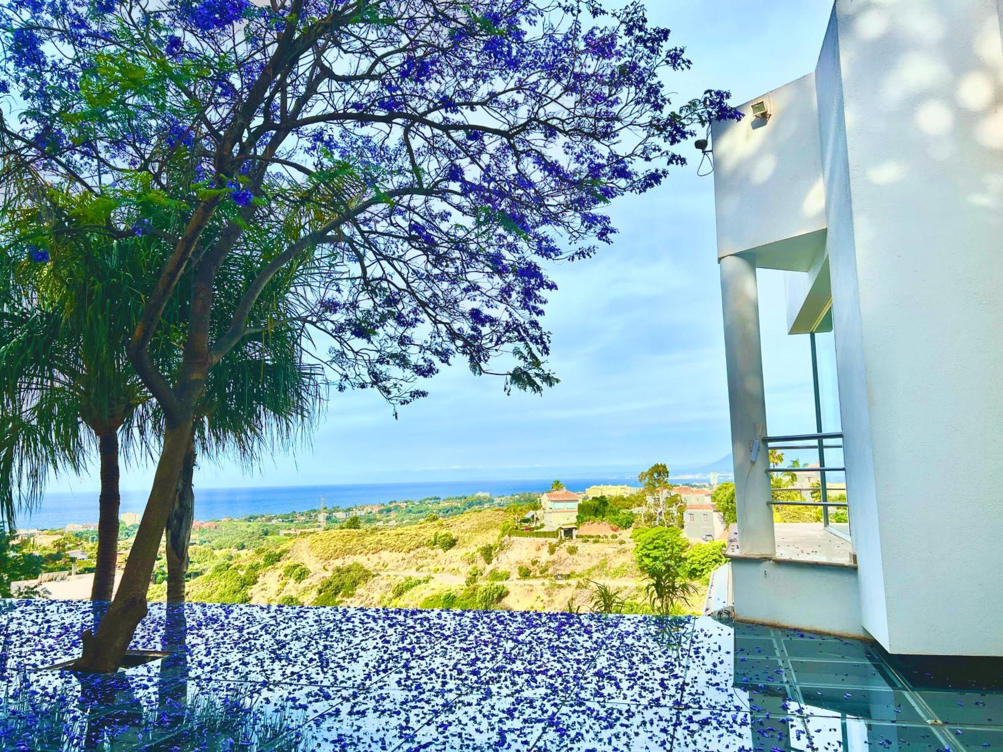 Boutique Art * Marbella